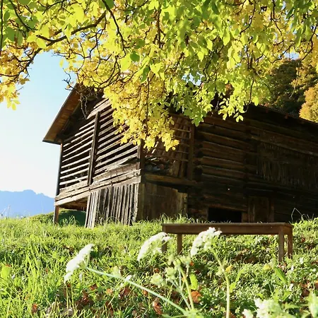 Apartamento Daerflihof *