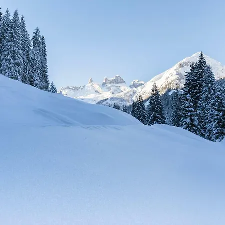 Daerflihof Apartmán Bartholomäberg