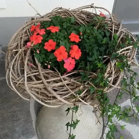 Apartamento Daerflihof *